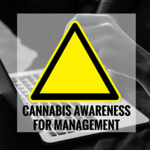 Cannabis in the Workplace: Management Training
